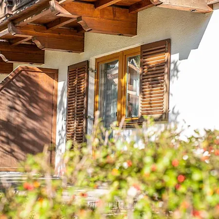 Haus Niederoesterreich Apartment Kirchberg in Tirol